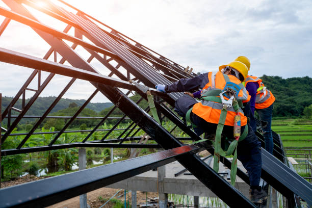 Best Roof Maintenance Services  in Clare, MI